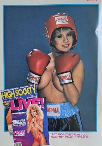 1980'S & Early 90'S Page 3 Girls