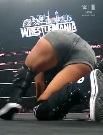 AJ Lee