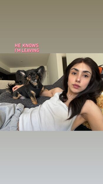 Alexa Mansour