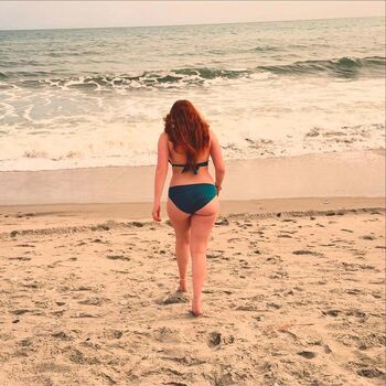 ame_gingy