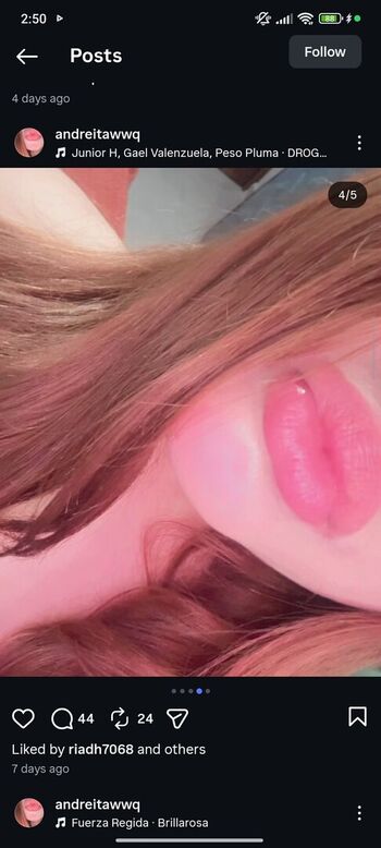 andreitawwq