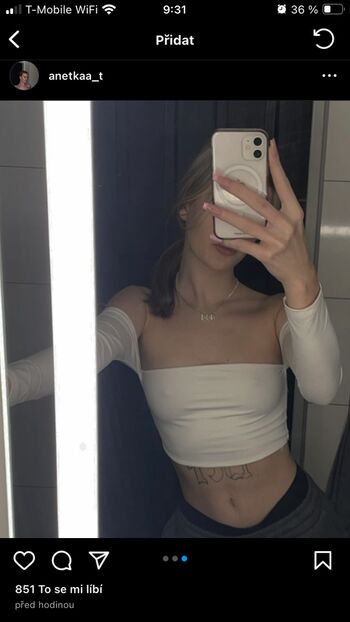 anetkaa_t