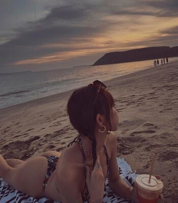 Anshia_flower