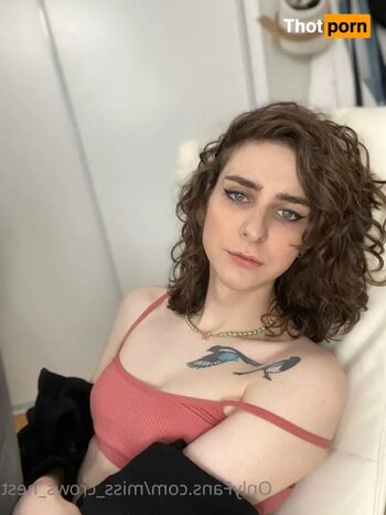aoife_bee