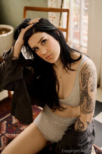 Arryn Zech