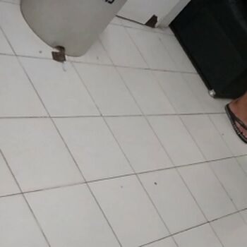 Candid Brasil
