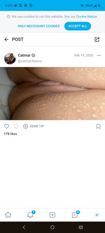 Cataleya Luna