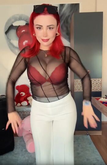 elmira_can2