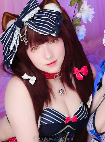 Erokawa Nekomi