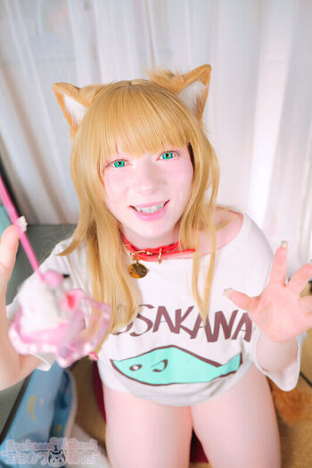 Erokawa Nekomi