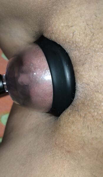 Exibam Sua Companheira