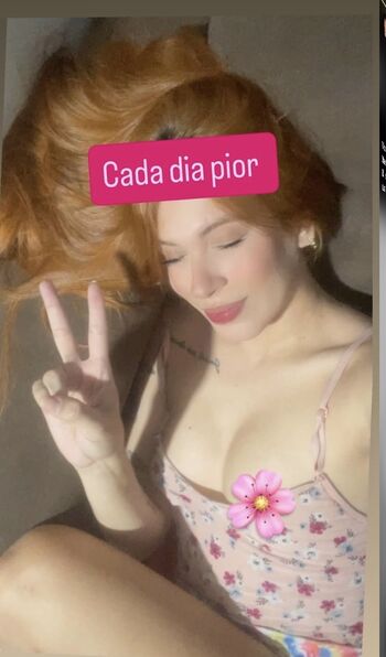 Gatas De Porto Velho
