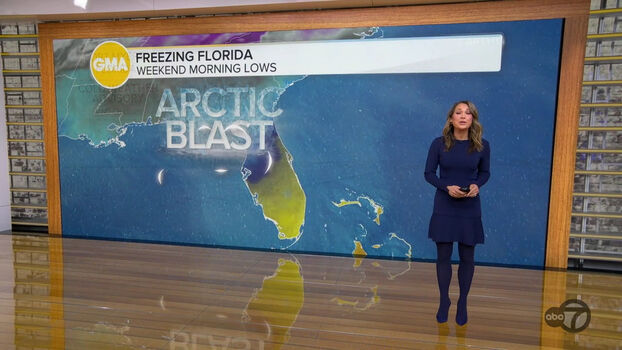 Ginger Zee