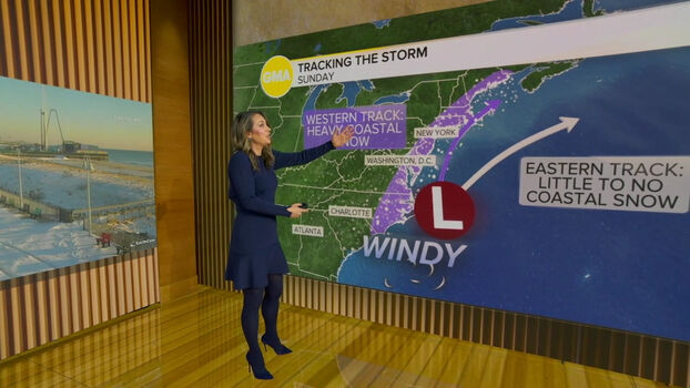 Ginger Zee