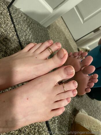 Gingerstoesies