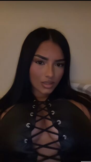 ibti.shelby