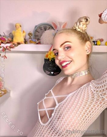 ittybittyprettykitty