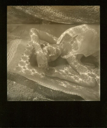 Jennifer Anne Sullins