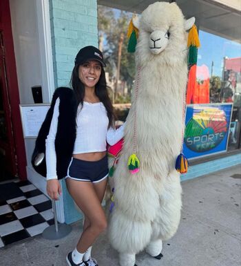 Jynx Maze