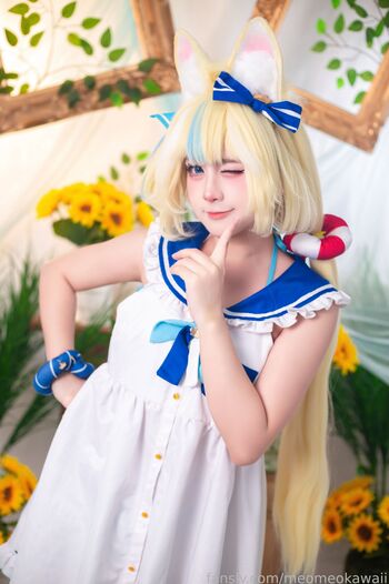 Kawaiimeochan