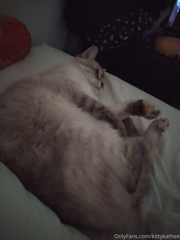 kittykathee