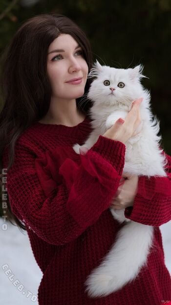 kittyklaw