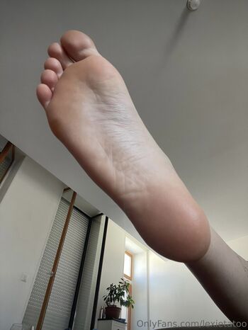 lexietatoo
