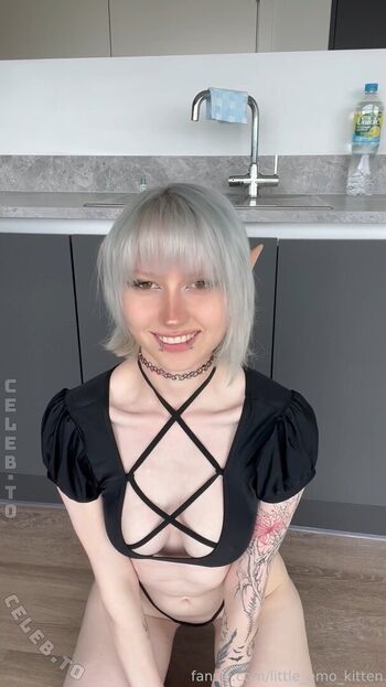 little_emo_kitten