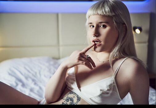 Meownkit Or Meownkitty