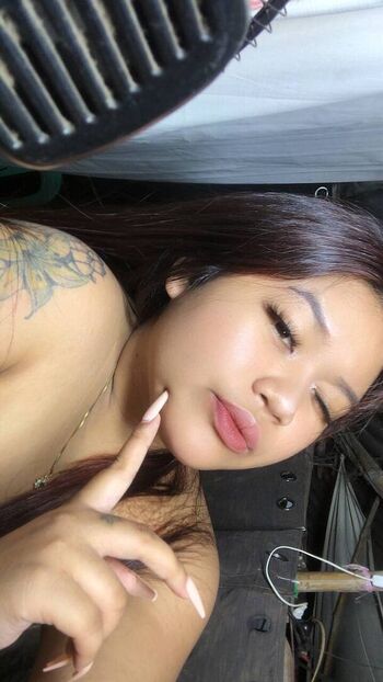 nesh1206
