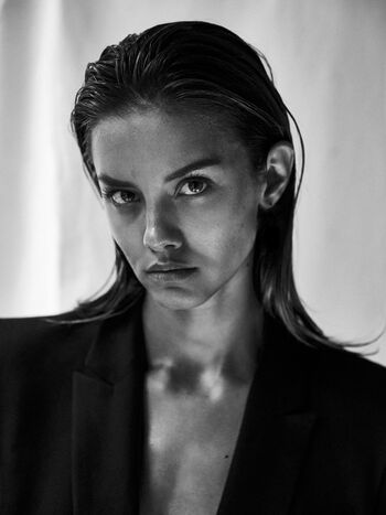 Nicola Cavanis