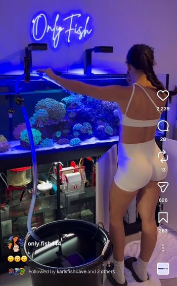 Only.fish444