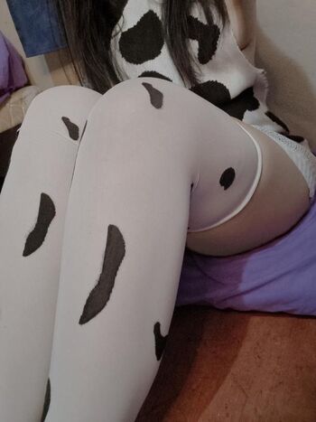 Polibolidolly