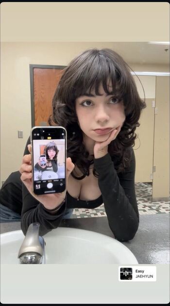 porkpopsan