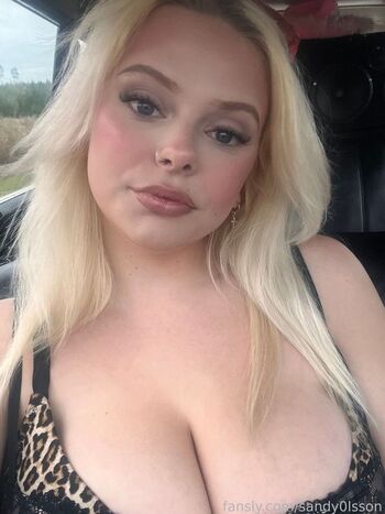 sandy0lsson