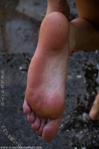 Scandinavian Feet