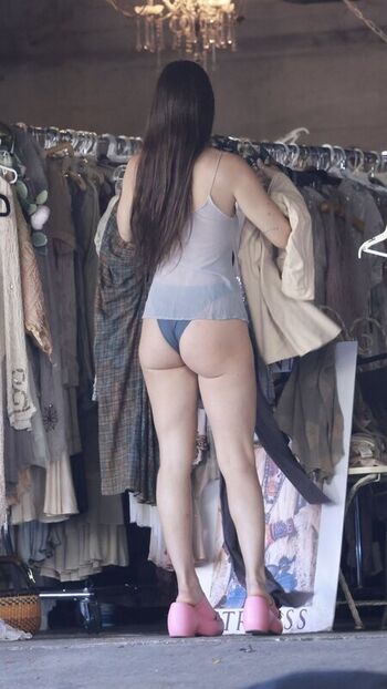 Scout LaRue Willis