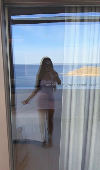 Selinsudegul