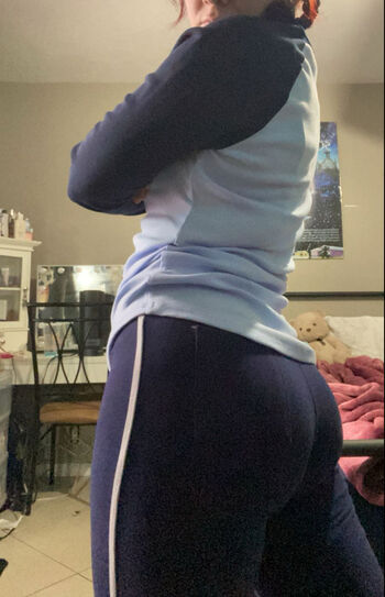 shelbypng