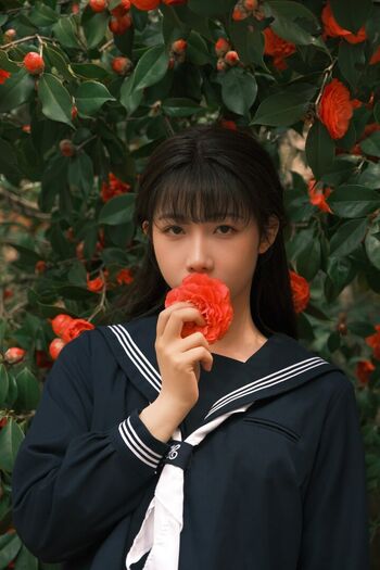 shiliuyelei