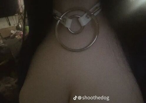 Shoothedogs
