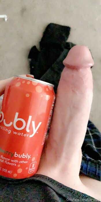 shy_trans