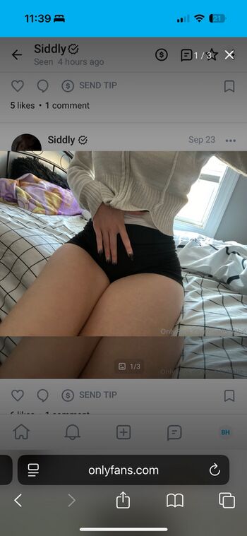 Siddlybabe