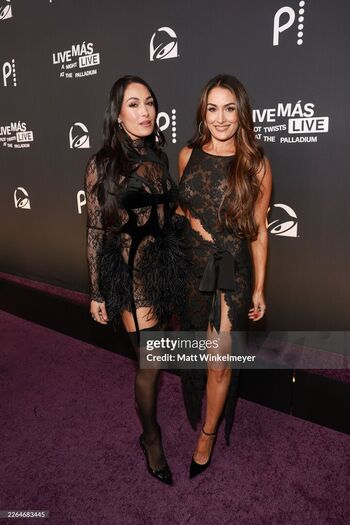 The Bella Twins