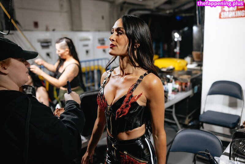 The Bella Twins
