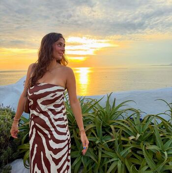 Theitalianlizard
