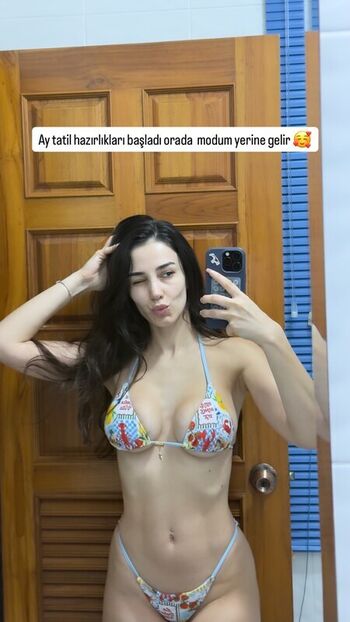 Vahide Bulu