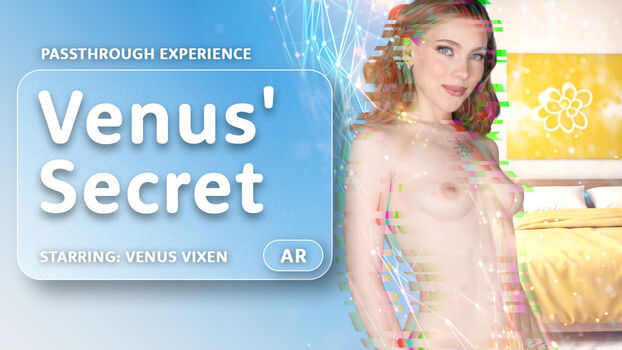 Vr Vixen