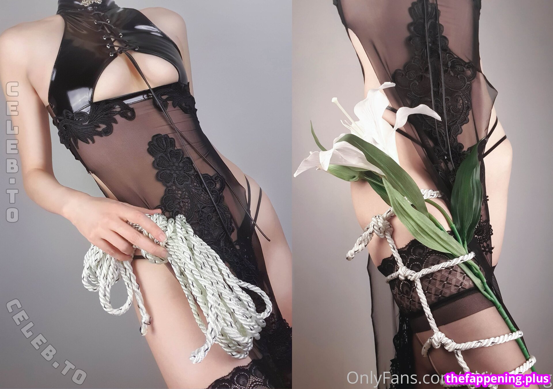 whitespring
